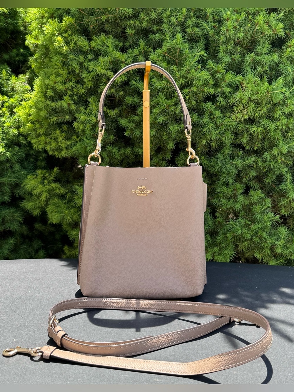 Coach Pebble Leather Mollie 22 Bucket Bag in Taupe